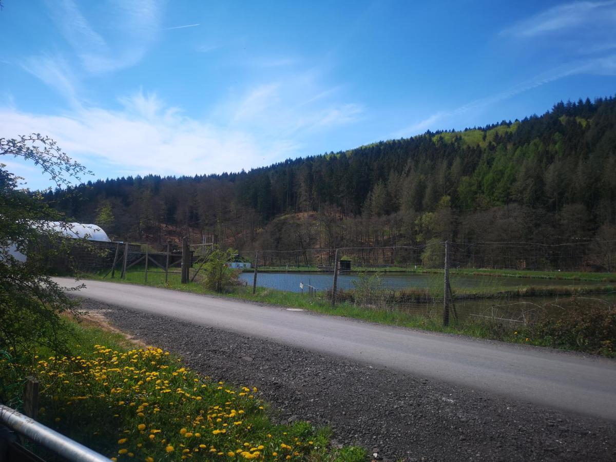 Ferienhaus Salmtal Himmerod Großlittgen المظهر الخارجي الصورة