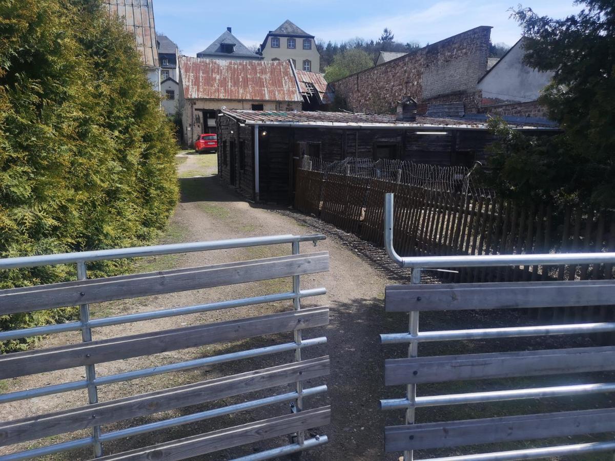 Ferienhaus Salmtal Himmerod Großlittgen المظهر الخارجي الصورة