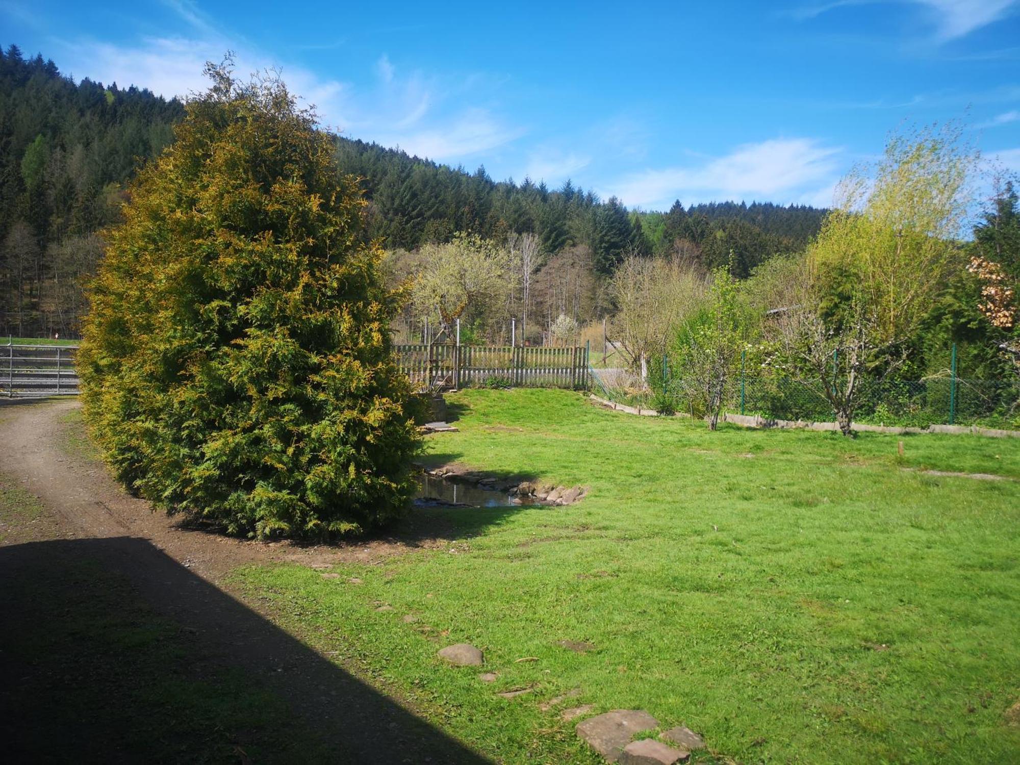 Ferienhaus Salmtal Himmerod Großlittgen المظهر الخارجي الصورة