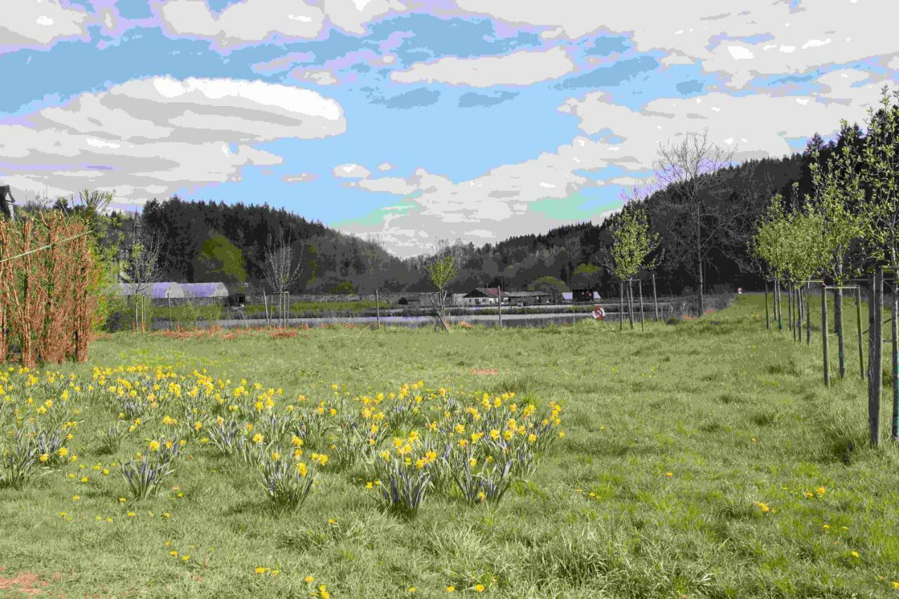 Ferienhaus Salmtal Himmerod Großlittgen المظهر الخارجي الصورة