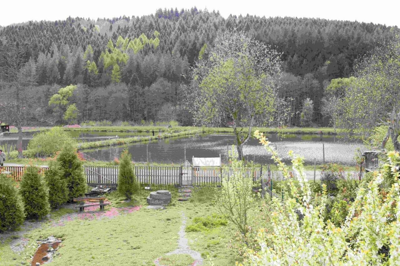 Ferienhaus Salmtal Himmerod Großlittgen المظهر الخارجي الصورة