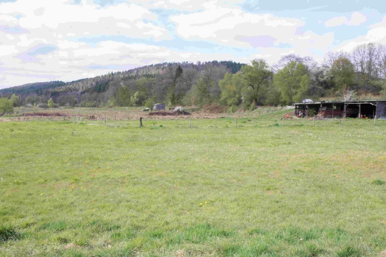 Ferienhaus Salmtal Himmerod Großlittgen المظهر الخارجي الصورة