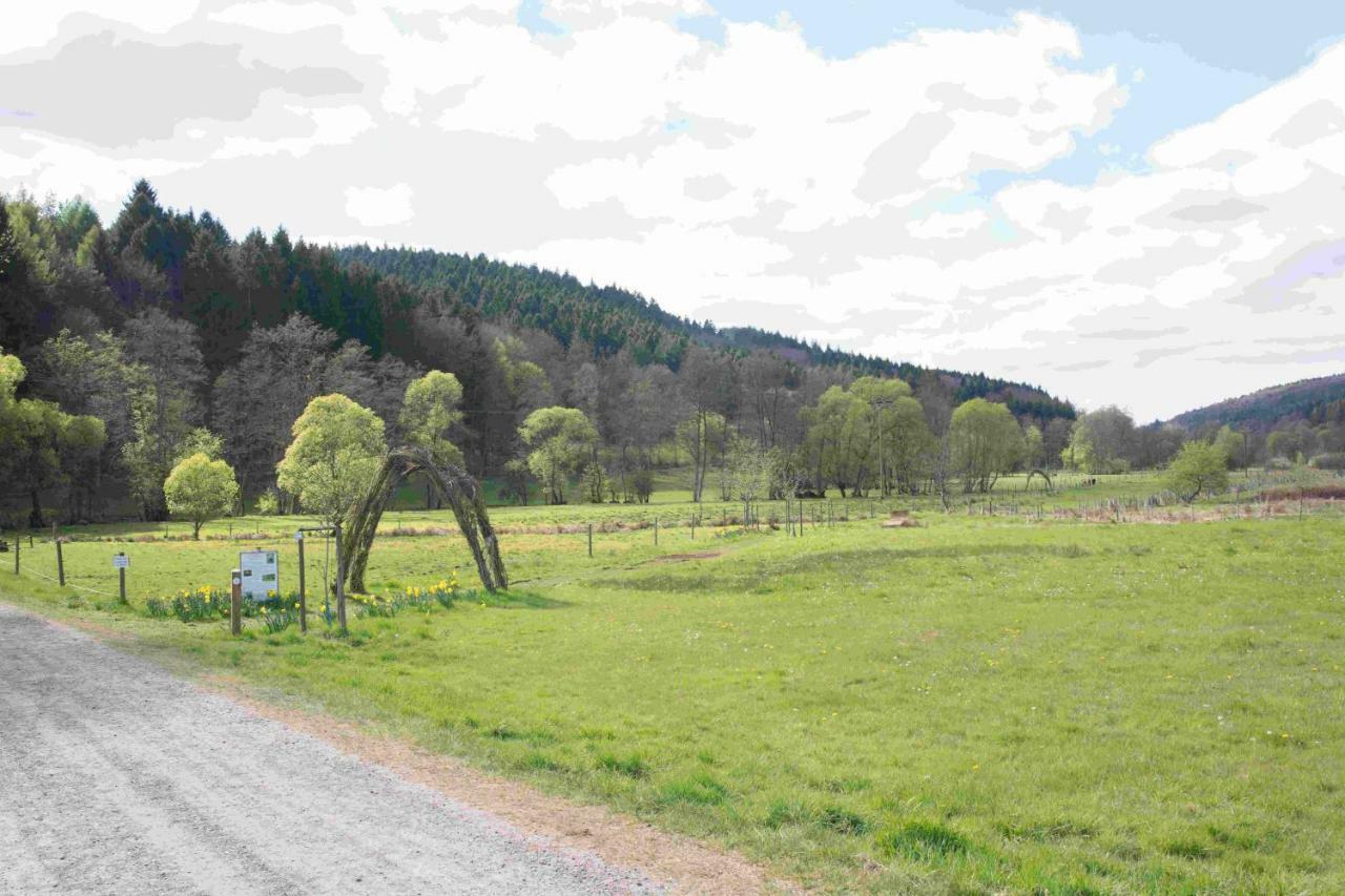Ferienhaus Salmtal Himmerod Großlittgen المظهر الخارجي الصورة